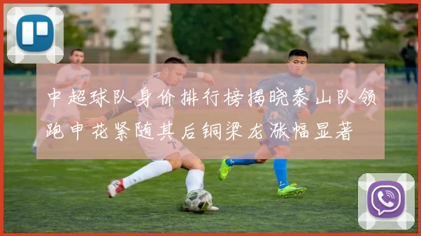 中超球队身价排行榜揭晓泰山队领跑申花紧随其后铜梁龙涨幅显著